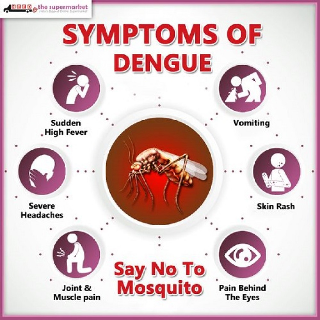 Dengue cases increase in Tanahu | Nepalnews