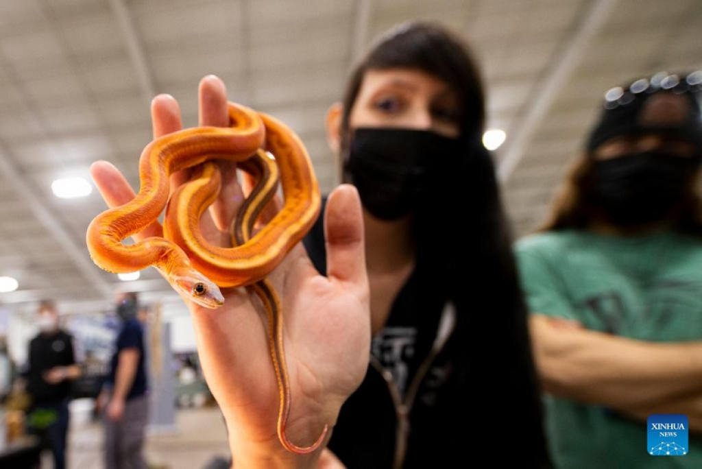 2022 Toronto Reptile Expo kicks off in Canada Nepalnews