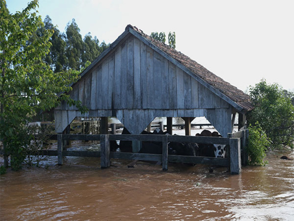 Cyclone Devastates Southern Brazil | Nepalnews