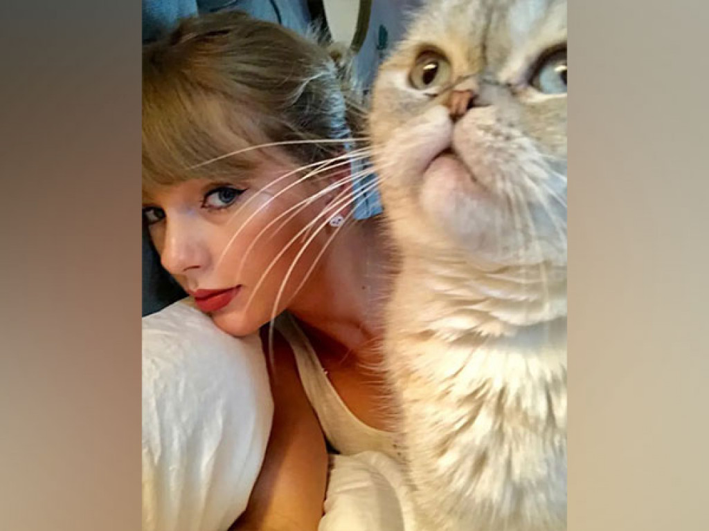 Taylor Swift's cat worth 97 million dollars: Reports