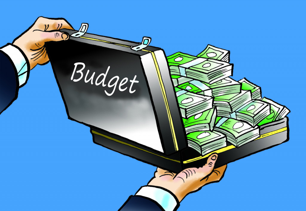 Бюджет Некст. Budget. On budget. Финансовый год действует