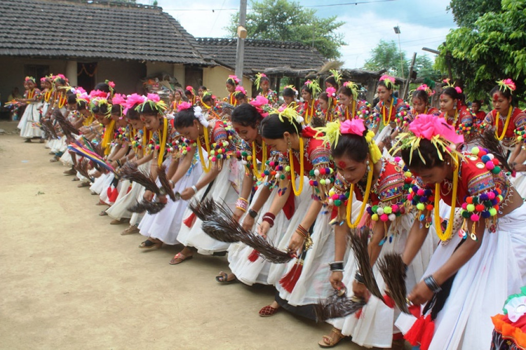 Youths Step Up Efforts For Preserving Traditional Tharu Dance Nepalnews