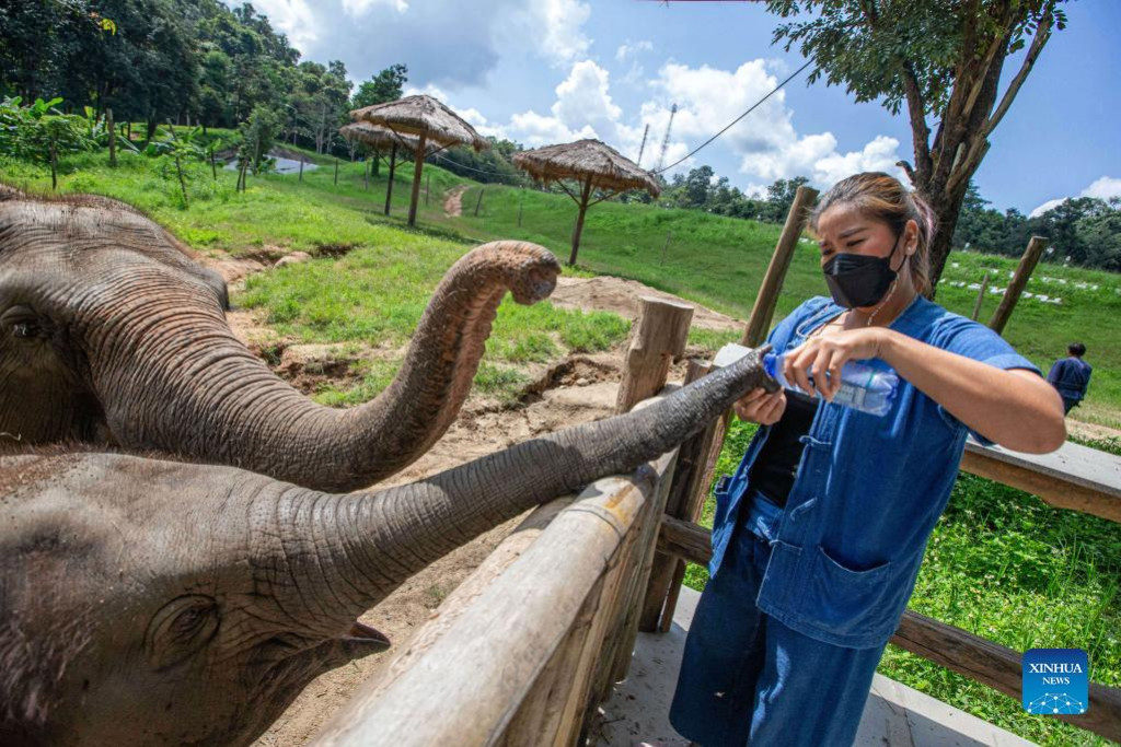 Thai Elephant Conservation Center in Lampang, Thailand | Nepalnews