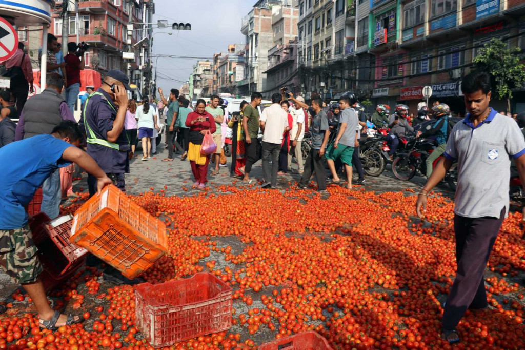 Farmers throw tomatoes on the road | Nepalnews